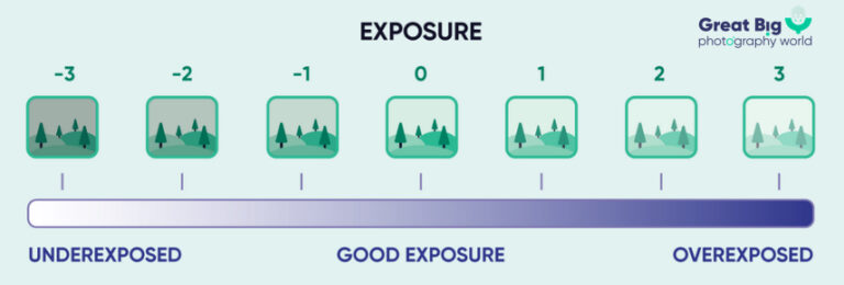 Exposure Compensation: How to Use it Correctly