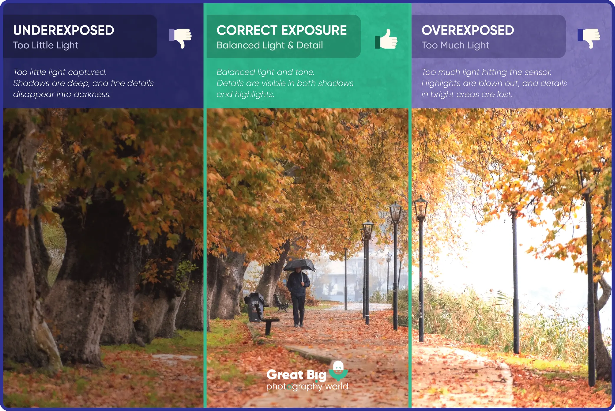 infographic showing overexposed, underexposed and correctly exposed image illustration.