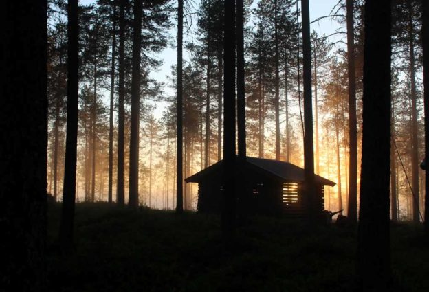 Spot Metering - A Beginner’s Guide on How to Use it