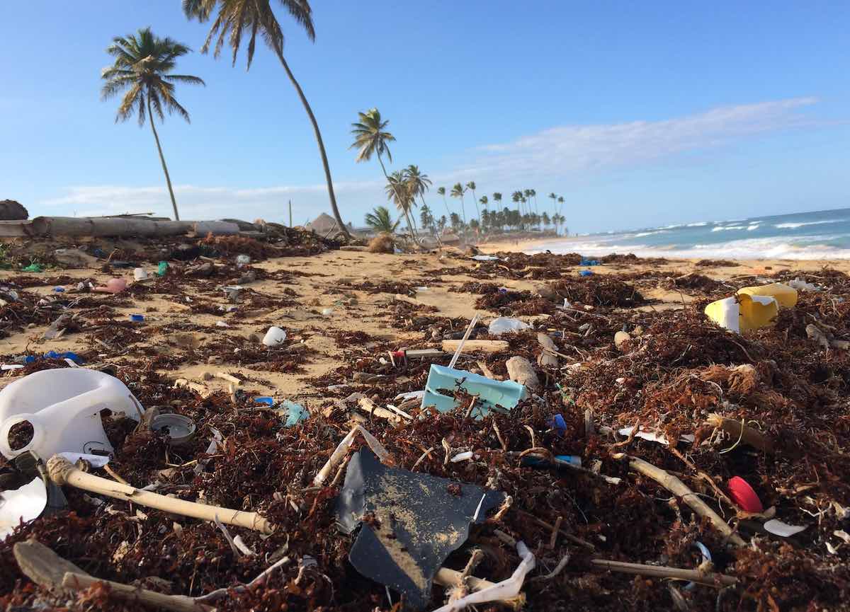 environmental photograph depicting waste production.