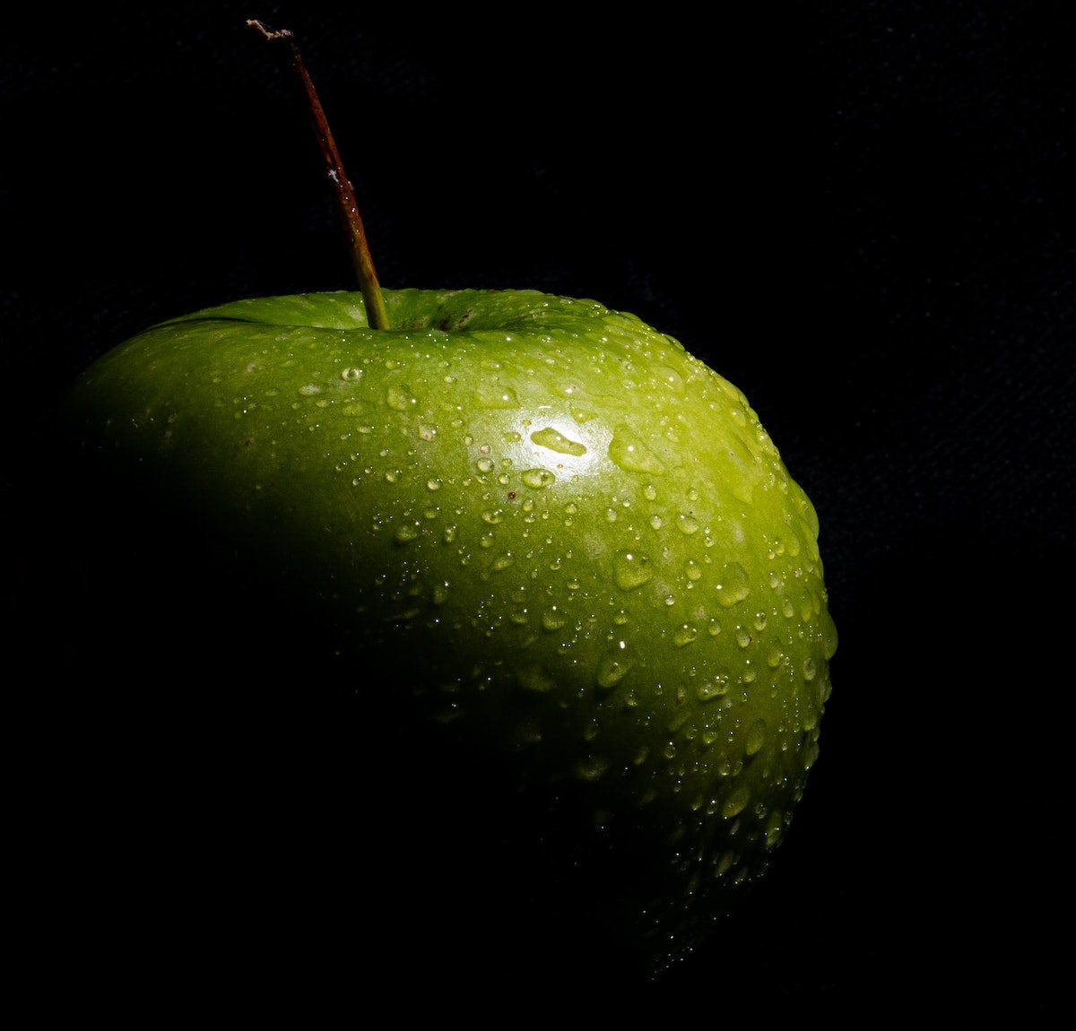 example shot of high contrast photography.