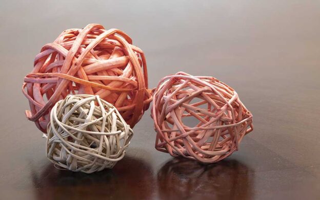 Focus Stacking: Your Ultimate Guide