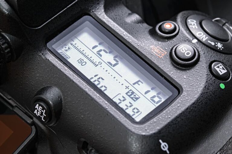 What is Chimping in Photography and How to Avoid It
