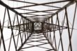 Low Angle Photography: How to Boost Your Composition