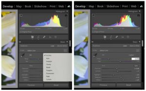 How to Use a Gray Card for Photography