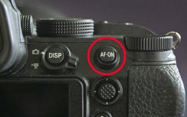 AE-L/AF-L: What, Why, and How
