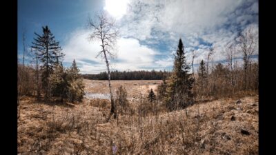 Monday Community Post