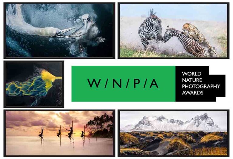 featured image world nature photography awards