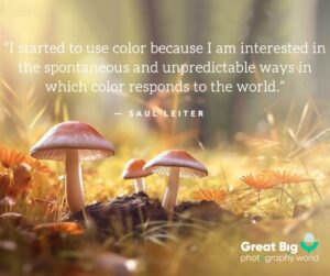 149 Inspirational Photography Quotes to Ignite Your Creativity