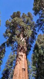 -4087587712881547941