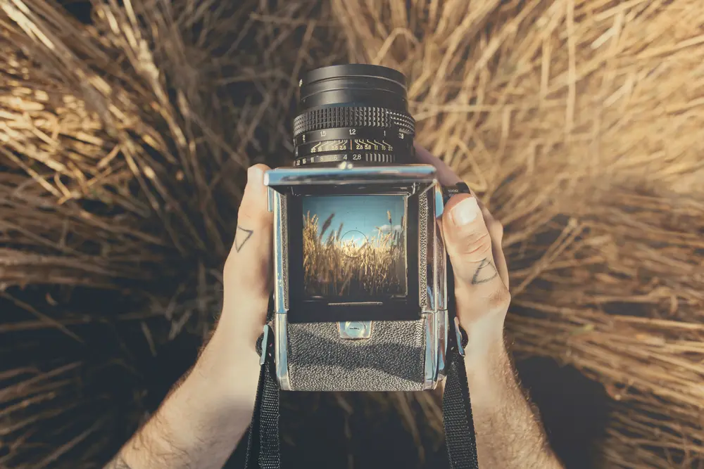 Top-down view peering into the waist-level viewfinder of a medium-format SLR camera. Outdoors photography using waist-level reflex camera.