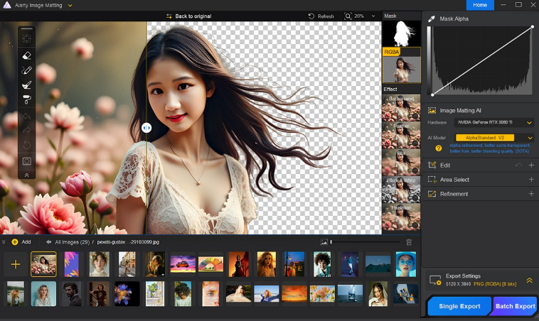 Remove Background with Aiarty Image Matting