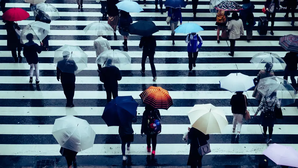 Street photography in color, crowd crossing the street under heavy rain. Unique perspective and high angle of attack in street photography.