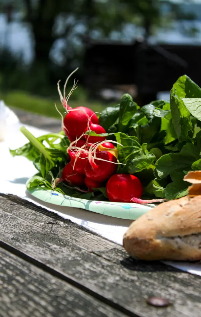 Fresh radishes and bread in bright outdoor sunlight.