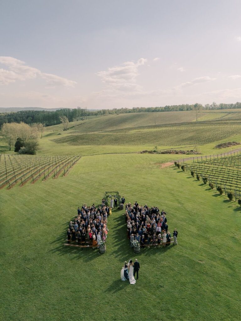 An aerial wedding image by Hannah Bjorndal/La Vie En Rose Photographers
