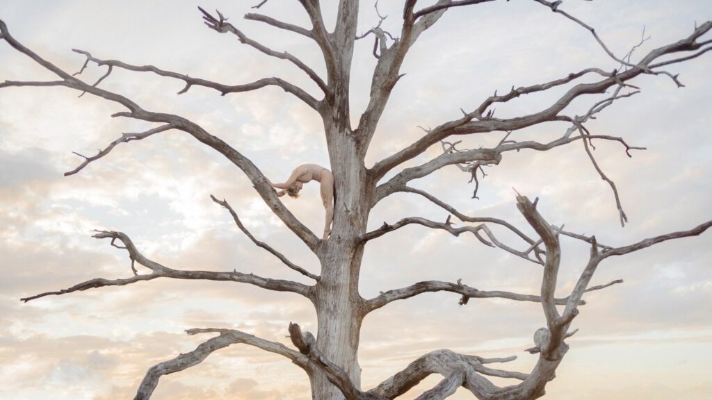 An image of a woman posing to mimic that of the tree she is in by Laura Zalenga.