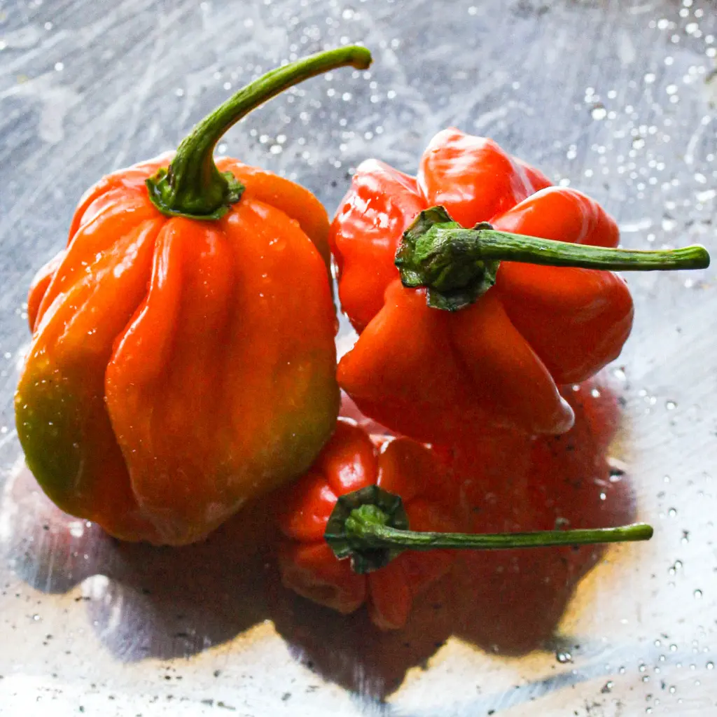 Sized for Instagram.