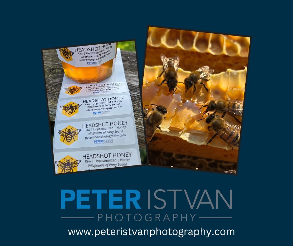 An image of Peter Istvan's bees and headshot honey that he gives to his clients. 