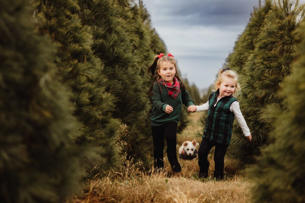 An image of two small children running through a row of evergreen trees with a dog between them, photographed by Kristeen Waddell.