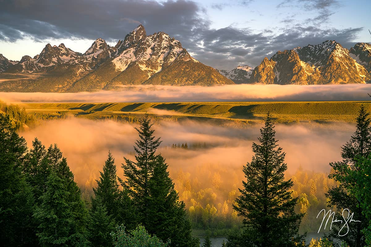 Morning fog drifting through the trees below the Teton Range at sunrise in Wyoming.