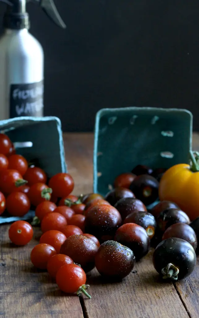 shallow depth of field.