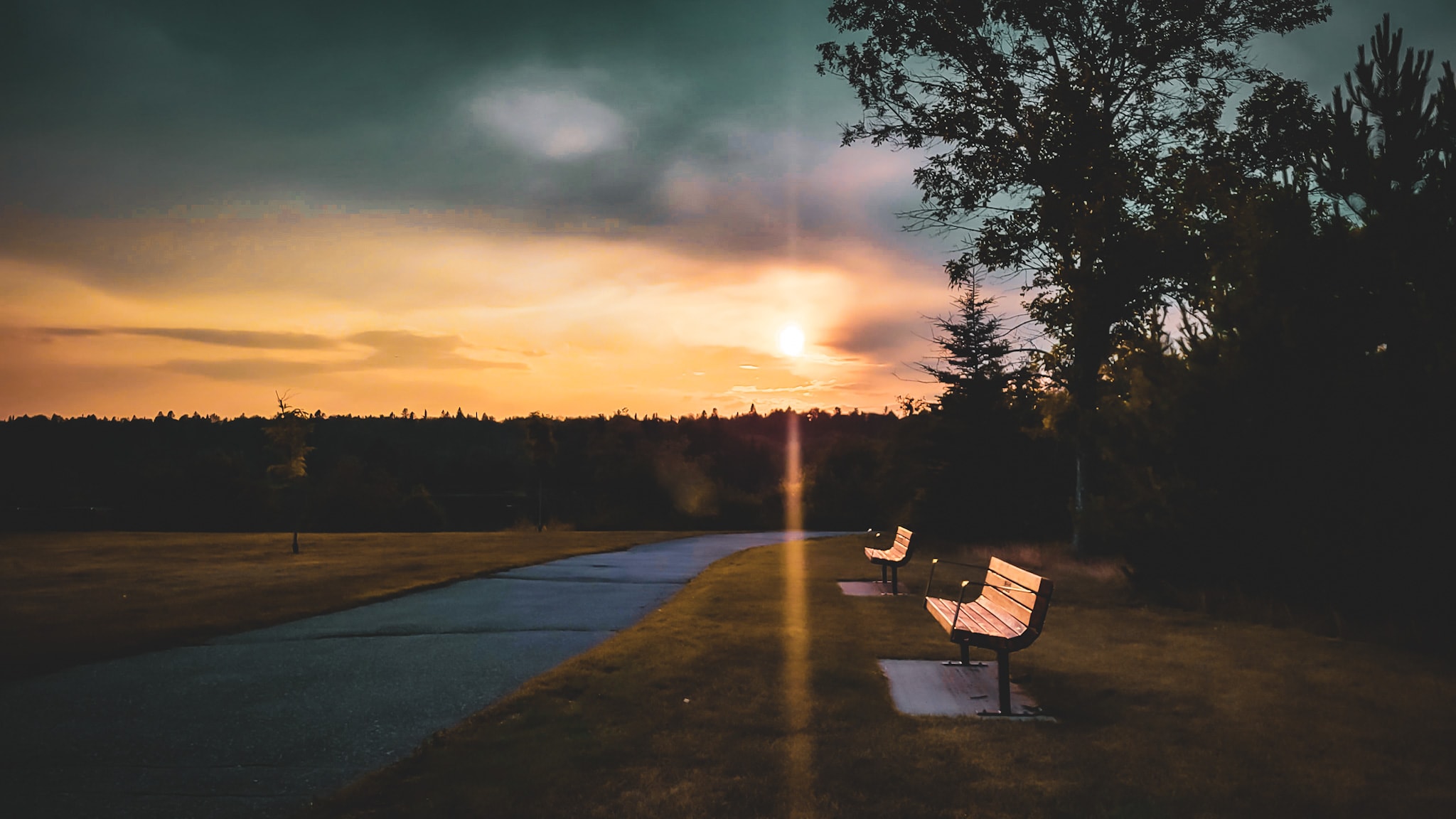 Park benches along a curved path at sunset with warm light breaking through the trees, demonstrating the rule of thirds in composition.