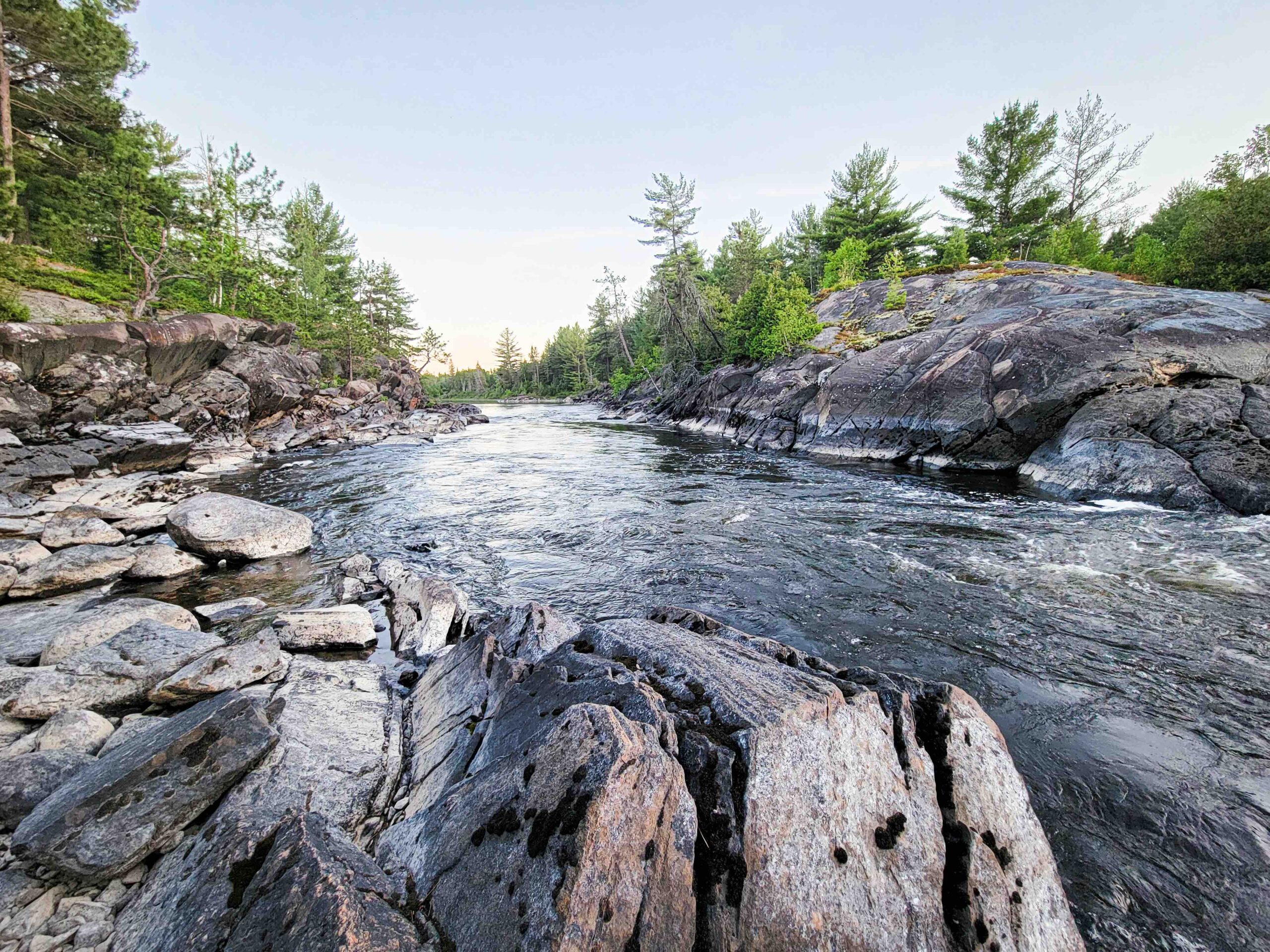 Soft evening light over a rocky river channel in a forest.