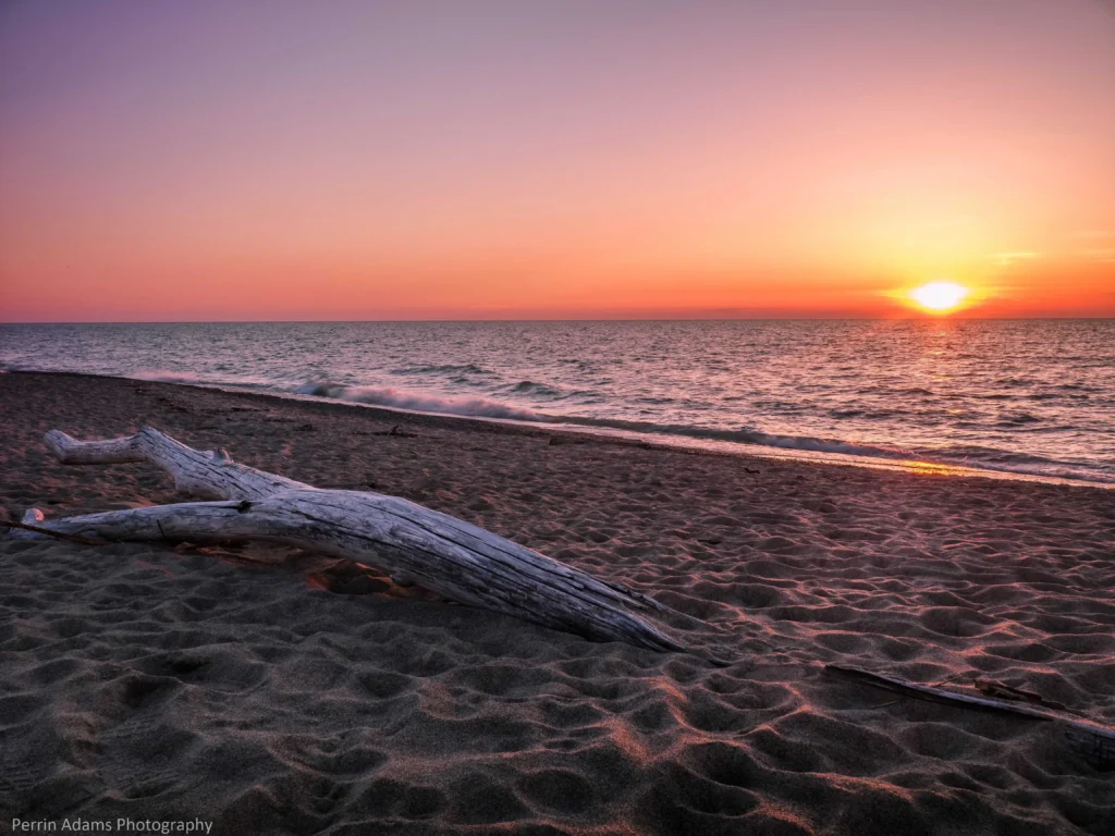 Driftwood lying on rippled sand at a beach, with gentle waves and the sun setting near the horizon under a warm pink-orange sky.