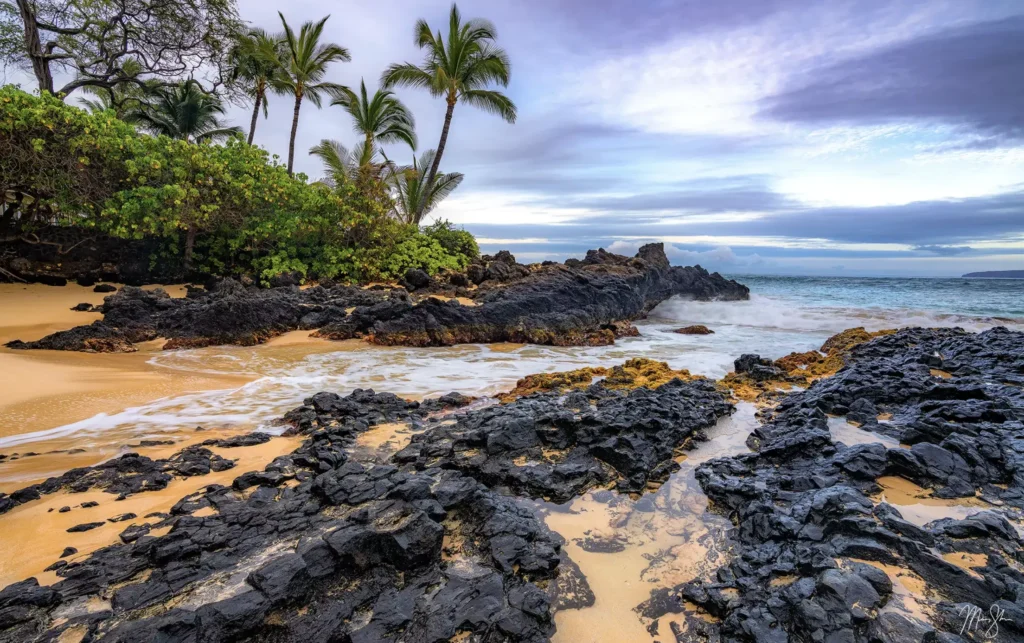 Tropical coastline with black lava rocks, palm trees, and ocean waves under a cloudy sky.