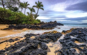 Tropical coastline with black lava rocks, palm trees, and ocean waves under a cloudy sky.