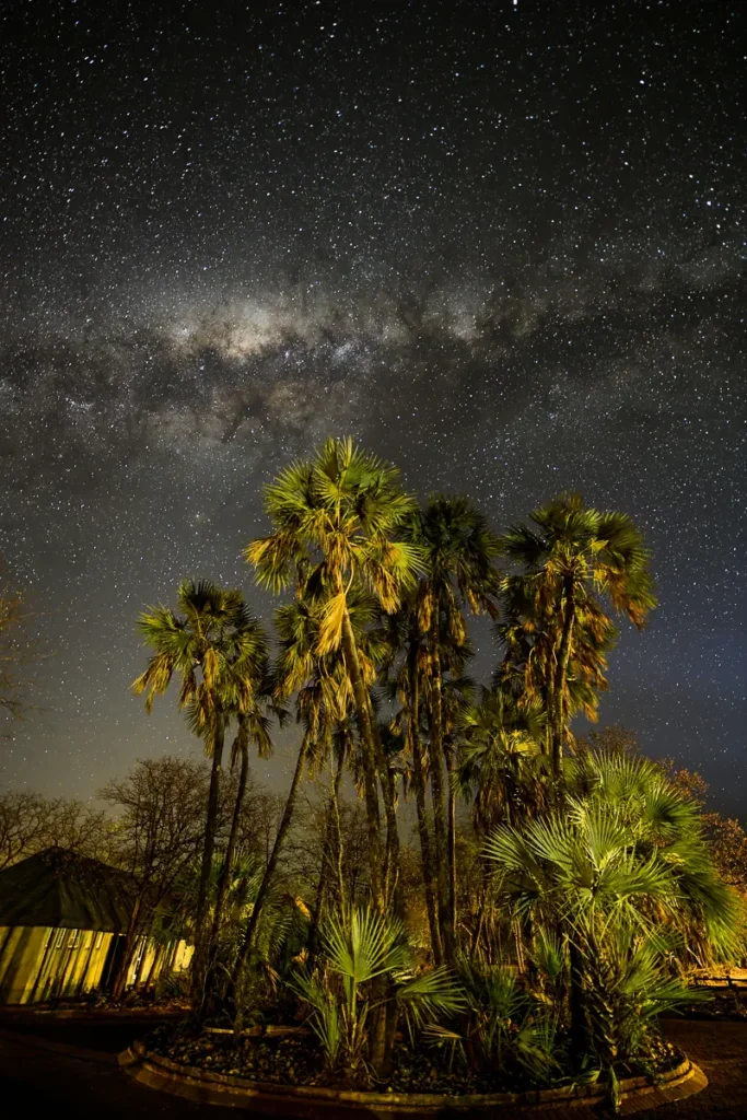 An image of the milky way above some palm trees by Mario Fazekas.