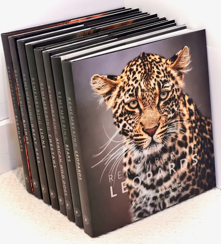 A photography of the Remembering Wildlife book series by Margot Raggett