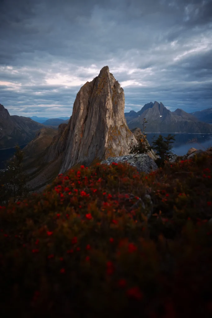 An image of a rockface in front of a path of red foliage by Matti Seppänen