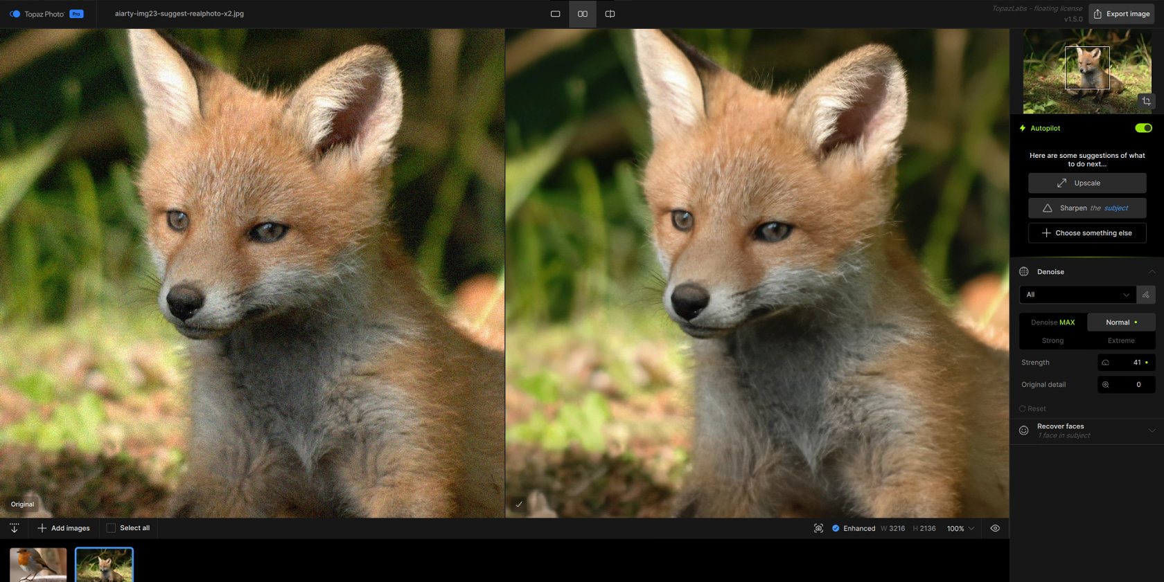 High-ISO fox photo denoised with Topaz Photo AI using the Normal Denoise model
