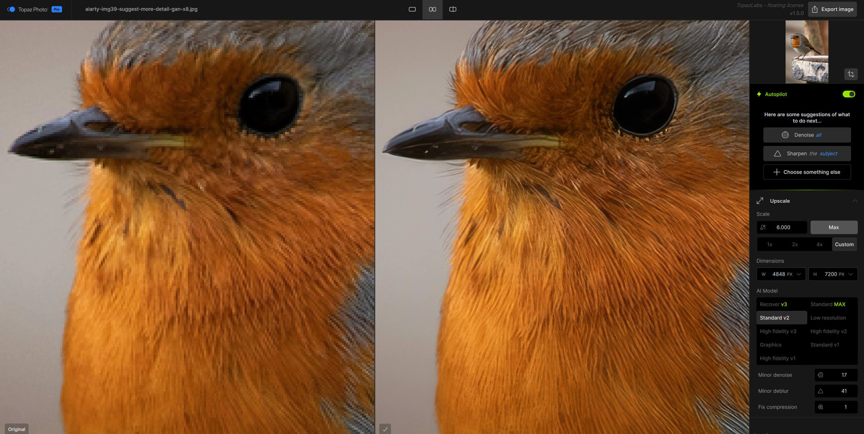 Cropped bird photo upscaled 6x with Topaz Photo AI, showing recovered feather detail