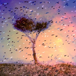 A multiple exposure image by Janina Wilde